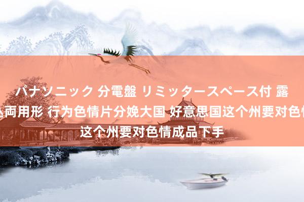 パナソニック 分電盤 リミッタースペース付 露出・半埋込両用形 行为色情片分娩大国 好意思国这个州要对色情成品下手