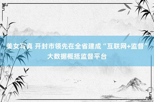 美女写真 开封市领先在全省建成“互联网+监督”大数据概括监督平台