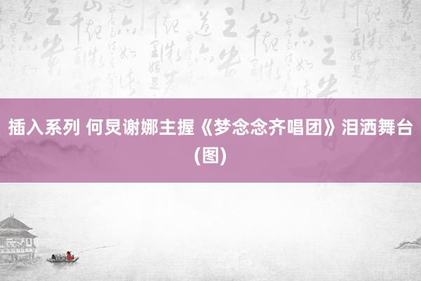 插入系列 何炅谢娜主握《梦念念齐唱团》泪洒舞台(图)