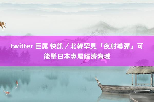 twitter 巨屌 快訊／北韓罕見「夜射導彈」　可能墜日本專屬經濟海域